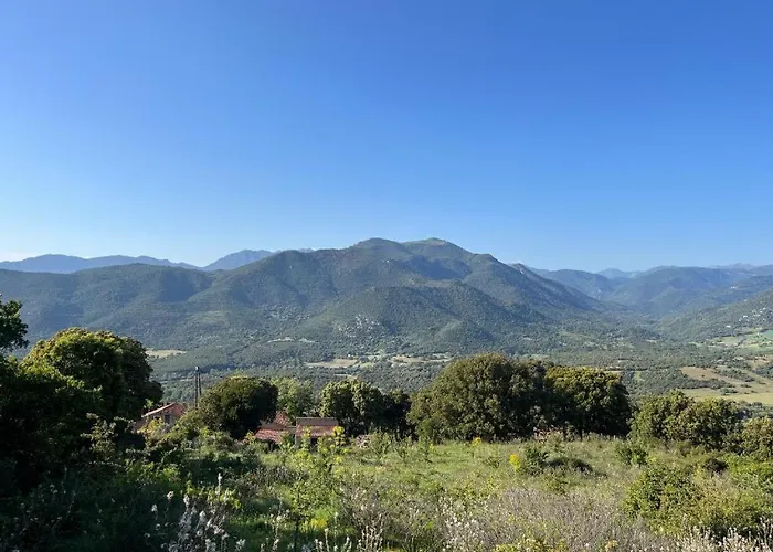 Tradition Corse & Modernite I Caseddi Di Barabe Tatil Evi