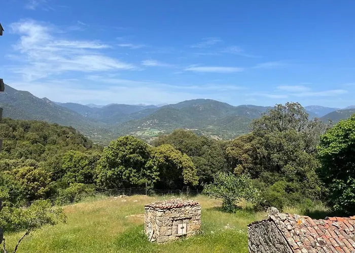 Tatil Evi Tradition Corse & Modernite I Caseddi Di Barabe Granace