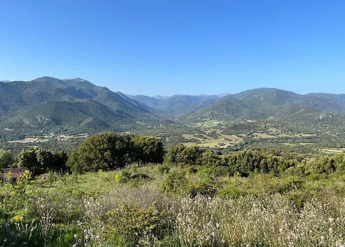 Tradition Corse & Modernite I Caseddi Di Barabe Tatil Evi Granace