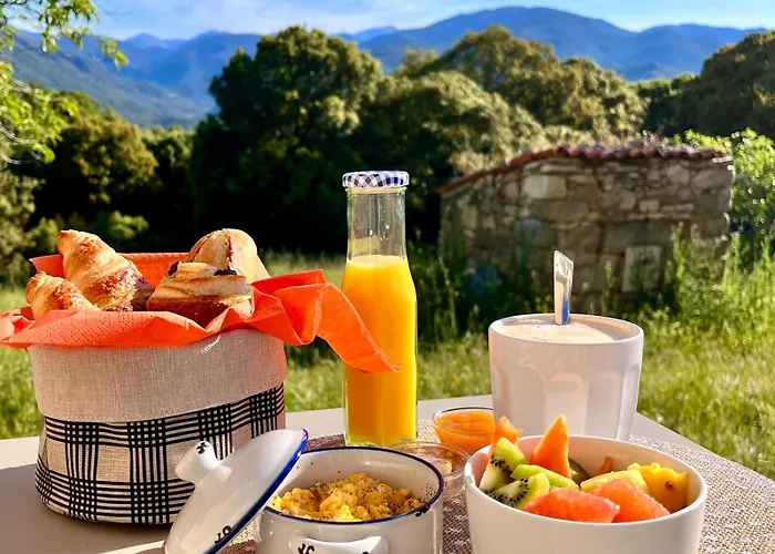 Tradition Corse & Modernite I Caseddi Di Barabe * Granace